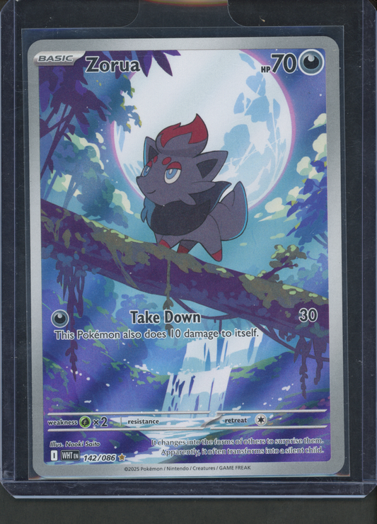 142/086 - Zorua – White Flare – Illustration Rare