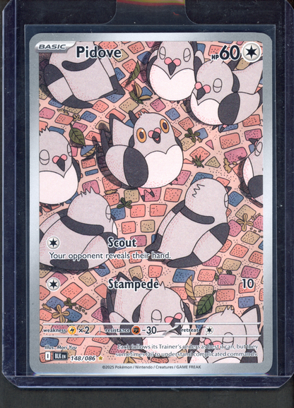 148/086 - Pidove – Black Bolt – Illustration Rare