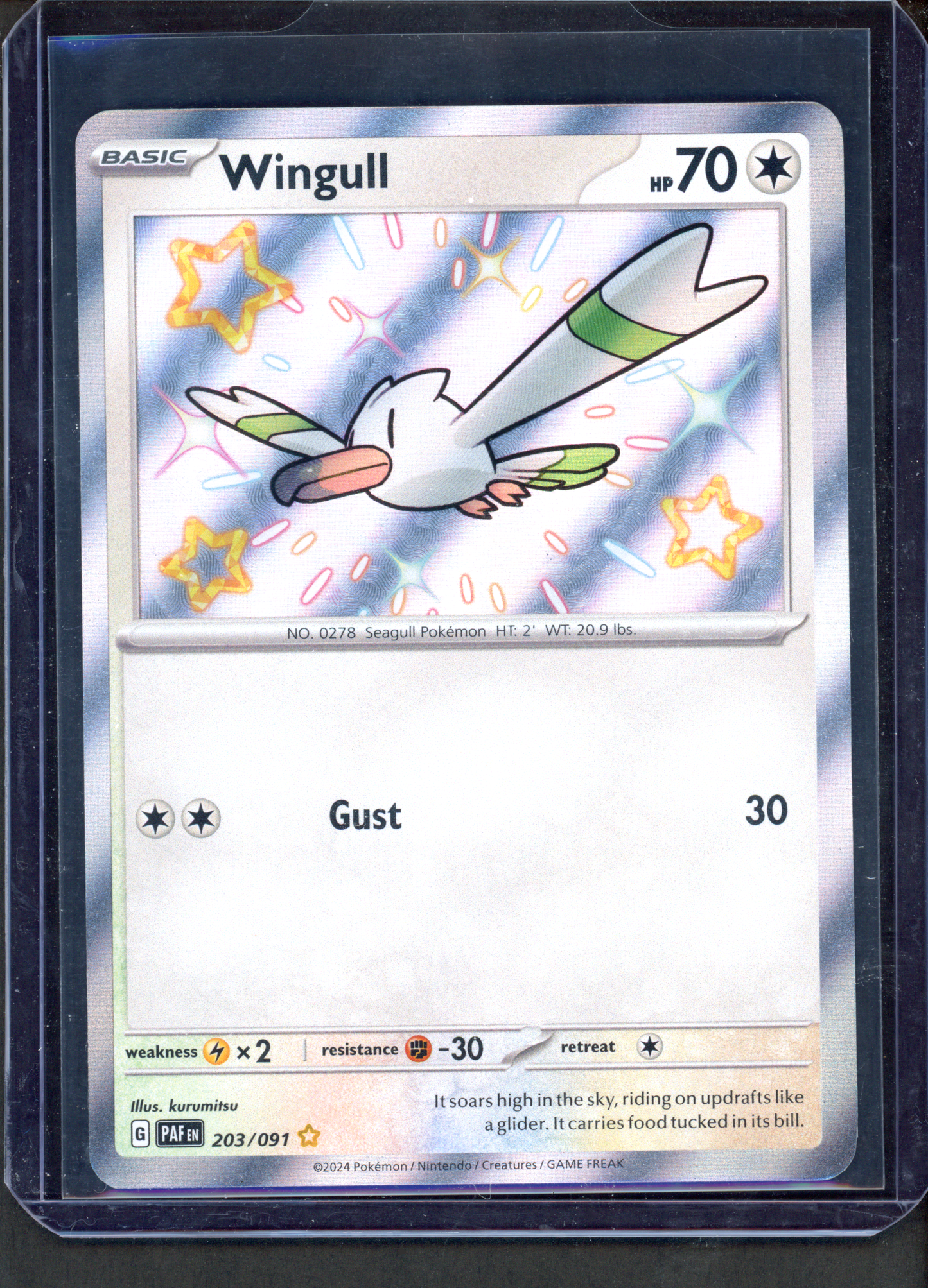 203/091 - Wingull – Paldean Fates – Shiny Rare