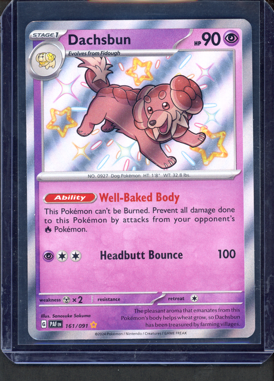 161/091 - Dachsbun – Paldean Fates – Shiny Rare