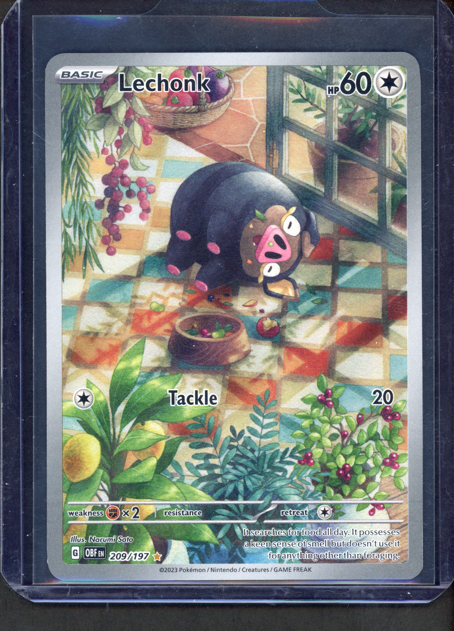 209/197 - Lechonk – Obsidian Flames – Illustration Rare