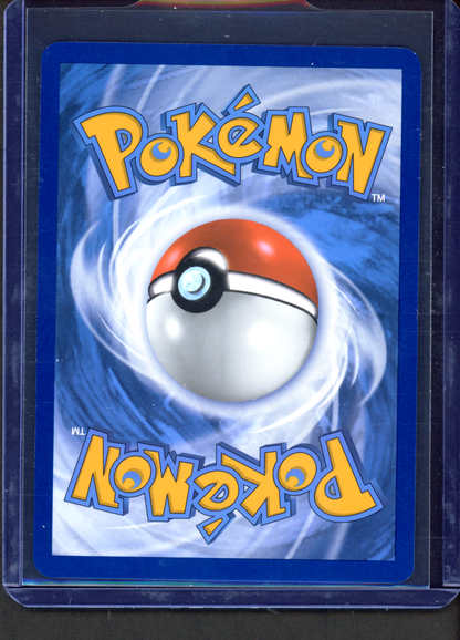 165/159 - Swinub – Journey Together – Illustration Rare