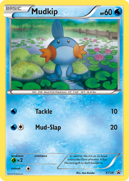 Mudkip Pokémon Card XY38/211 from XY Black Star Promos